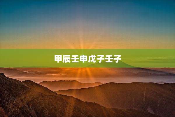 甲辰壬申戊子壬子