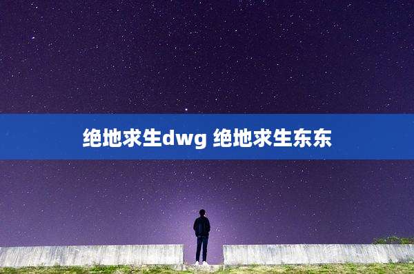 绝地求生dwg 绝地求生东东
