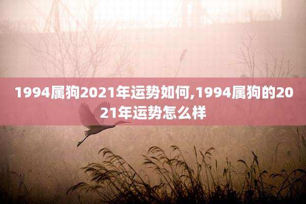 1994属狗2021年运势如何,1994属狗的2021年运势怎么样