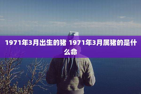 1971年3月出生的猪 1971年3月属猪的是什么命