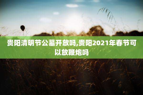贵阳清明节公墓开放吗,贵阳2021年春节可以放鞭炮吗