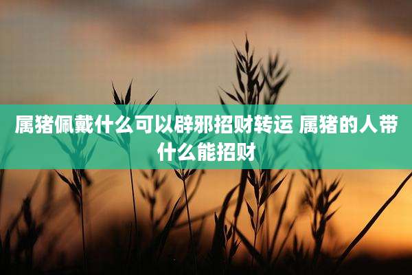 属猪佩戴什么可以辟邪招财转运 属猪的人带什么能招财