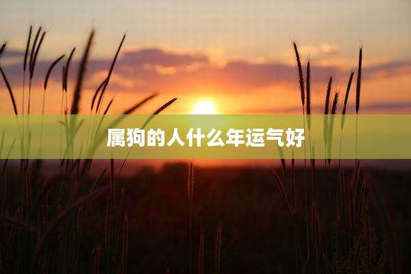 属狗的人什么年运气好