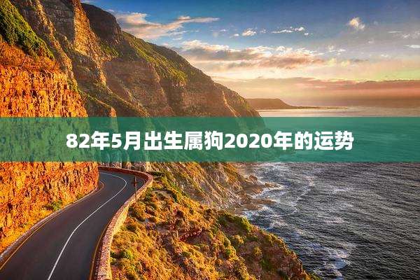 82年5月出生属狗2020年的运势