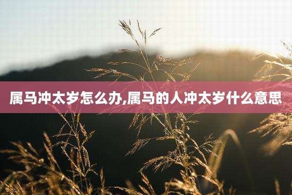 属马冲太岁怎么办,属马的人冲太岁什么意思