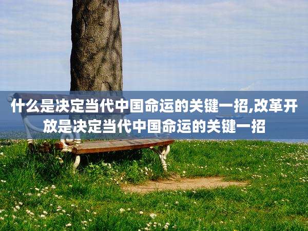 什么是决定当代中国命运的关键一招,改革开放是决定当代中国命运的关键一招