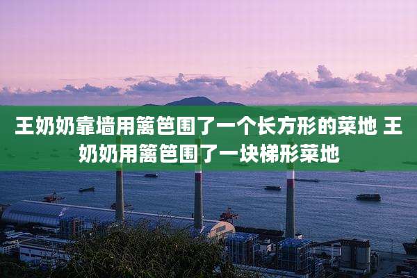 王奶奶靠墙用篱笆围了一个长方形的菜地 王奶奶用篱笆围了一块梯形菜地