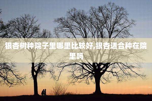 银杏树种院子里哪里比较好,银杏适合种在院里吗