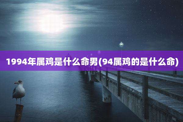 1994年属鸡是什么命男(94属鸡的是什么命)