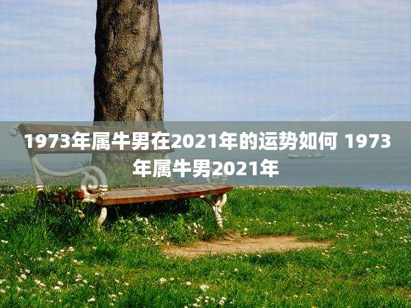 1973年属牛男在2021年的运势如何 1973年属牛男2021年