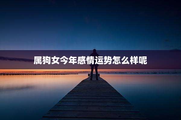 属狗女今年感情运势怎么样呢