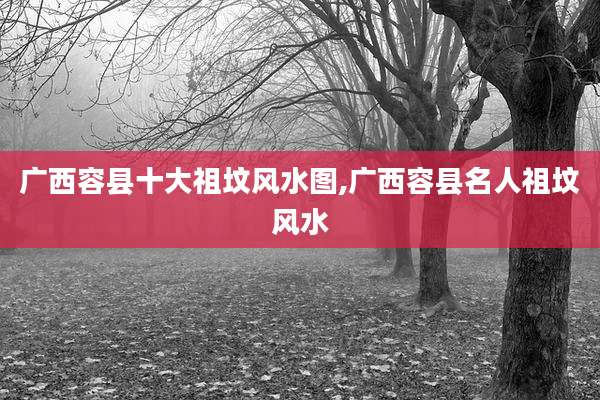 广西容县十大祖坟风水图,广西容县名人祖坟风水