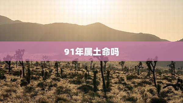 91年属土命吗