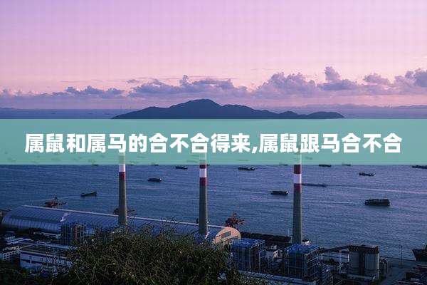 属鼠和属马的合不合得来,属鼠跟马合不合