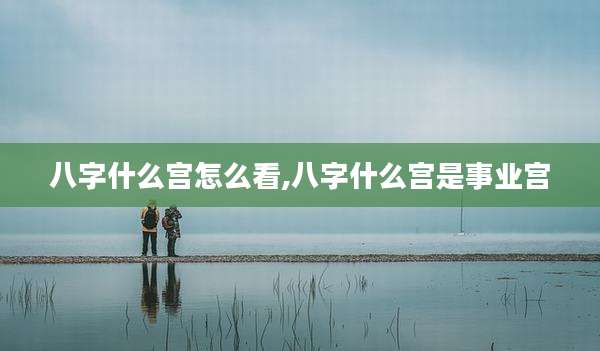 八字什么宫怎么看,八字什么宫是事业宫