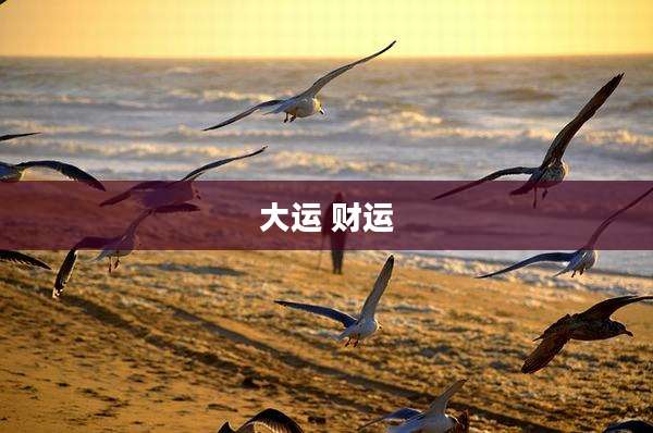 大运 财运