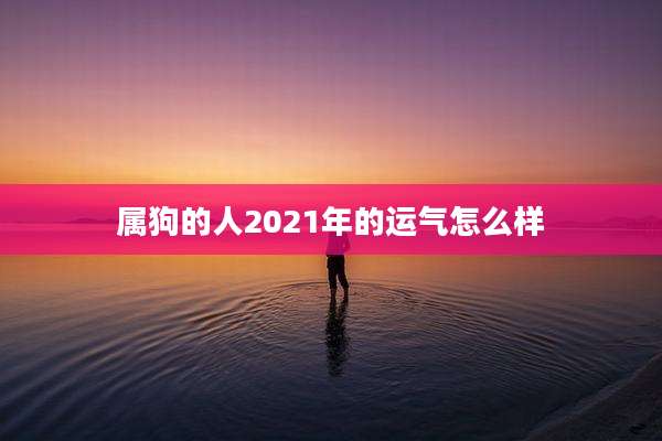 属狗的人2021年的运气怎么样