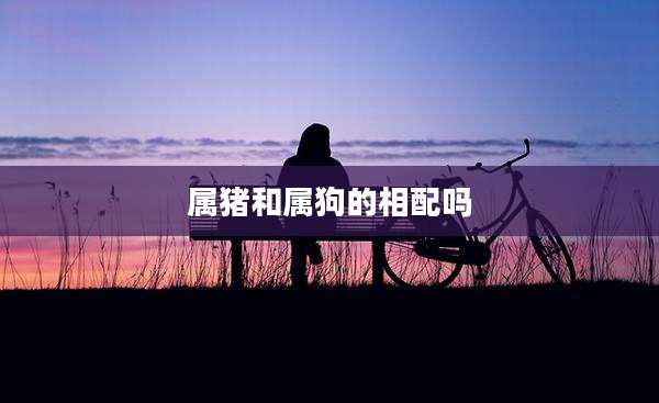 属猪和属狗的相配吗
