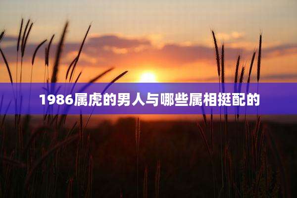 1986属虎的男人与哪些属相挺配的