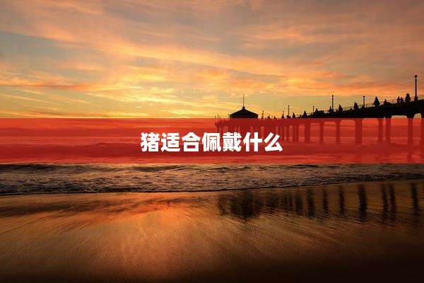 猪适合佩戴什么