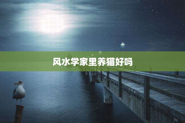 风水学家里养猫好吗