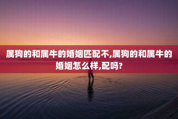 属狗的和属牛的婚姻匹配不,属狗的和属牛的婚姻怎么样,配吗?
