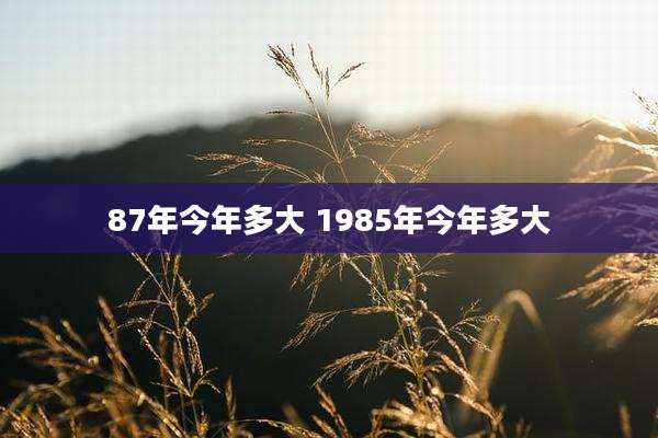 87年今年多大 1985年今年多大