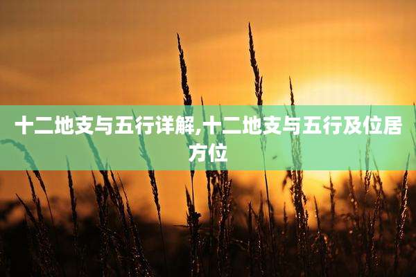 十二地支与五行详解,十二地支与五行及位居方位