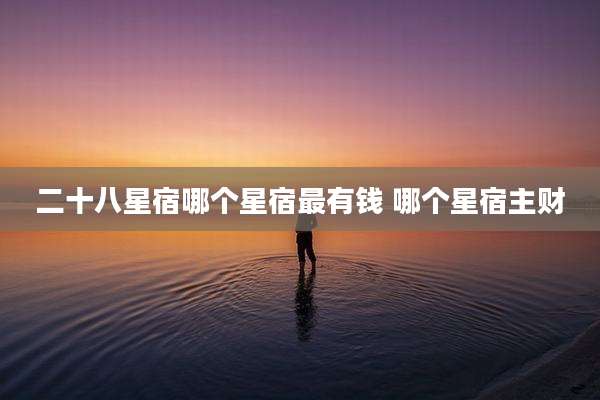 二十八星宿哪个星宿最有钱 哪个星宿主财