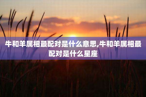 牛和羊属相最配对是什么意思,牛和羊属相最配对是什么星座