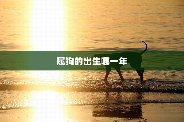 属狗的出生哪一年
