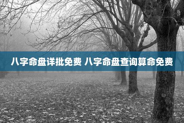 八字命盘详批免费 八字命盘查询算命免费