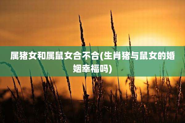 属猪女和属鼠女合不合(生肖猪与鼠女的婚姻幸福吗)