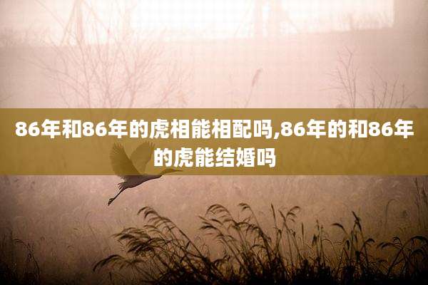 86年和86年的虎相能相配吗,86年的和86年的虎能结婚吗