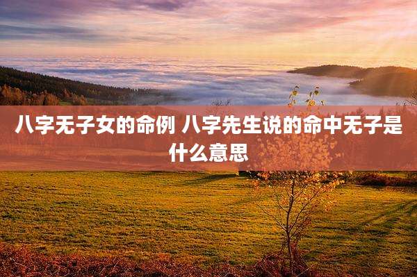 八字无子女的命例 八字先生说的命中无子是什么意思
