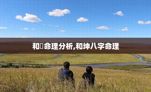 和珅命理分析,和坤八字命理