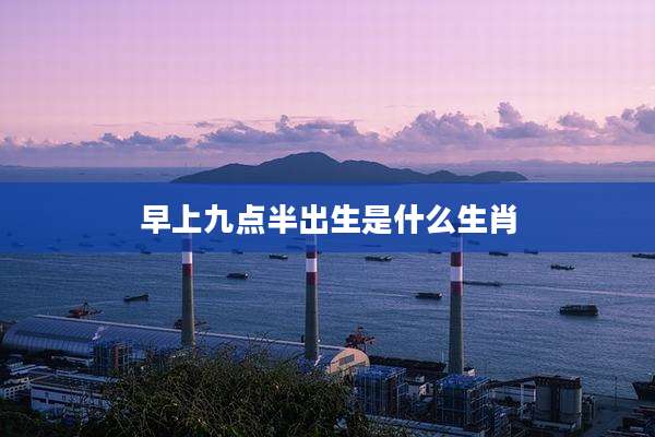 早上九点半出生是什么生肖