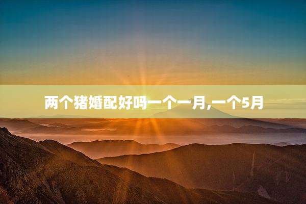 两个猪婚配好吗一个一月,一个5月