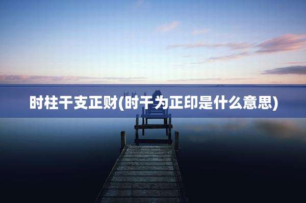 时柱干支正财(时干为正印是什么意思)