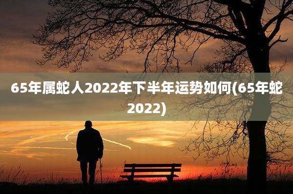 65年属蛇人2022年下半年运势如何(65年蛇2022)