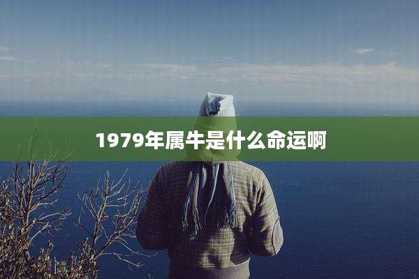 1979年属牛是什么命运啊