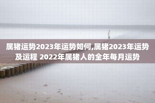 属猪运势2023年运势如何,属猪2023年运势及运程 2022年属猪人的全年每月运势