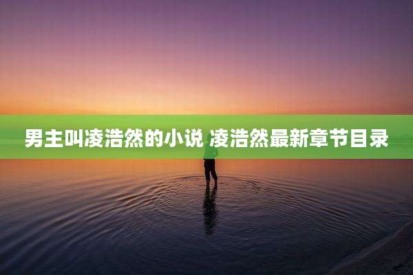 男主叫凌浩然的小说 凌浩然最新章节目录