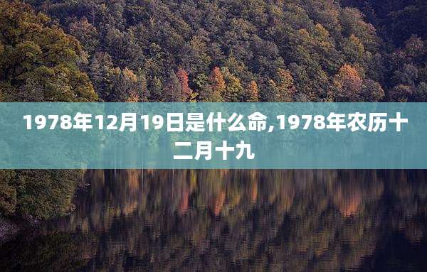 1978年12月19日是什么命,1978年农历十二月十九