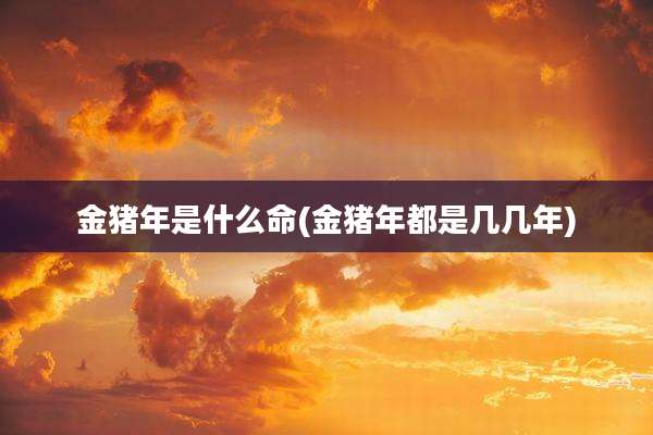 金猪年是什么命(金猪年都是几几年)