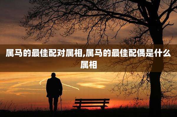 属马的最佳配对属相,属马的最佳配偶是什么属相