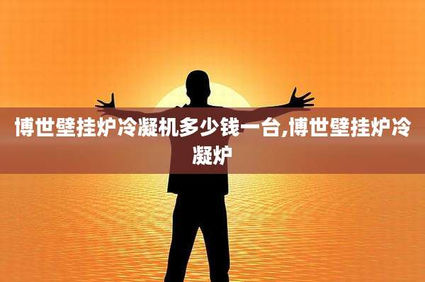 博世壁挂炉冷凝机多少钱一台,博世壁挂炉冷凝炉