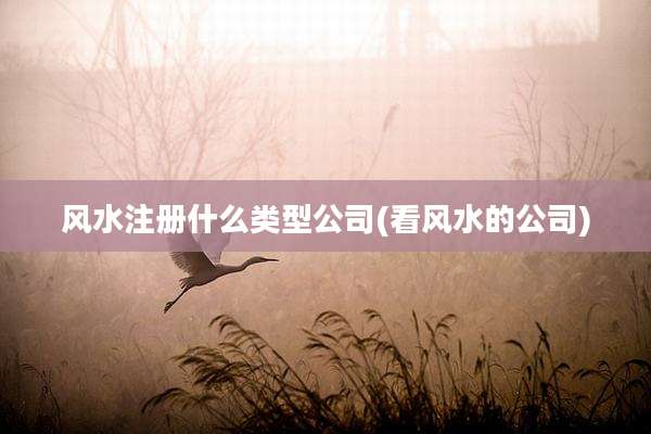 风水注册什么类型公司(看风水的公司)