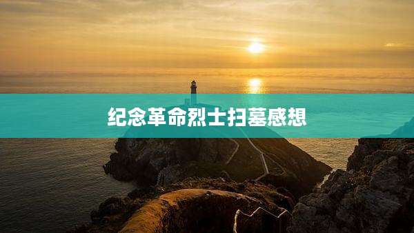 纪念革命烈士扫墓感想
