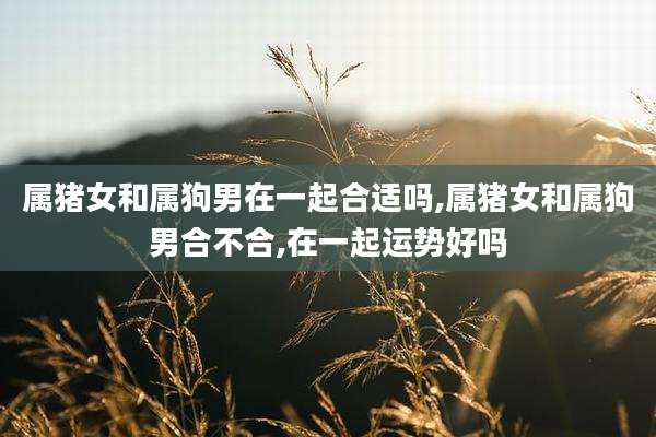 属猪女和属狗男在一起合适吗,属猪女和属狗男合不合,在一起运势好吗